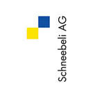 Schneebeli AG Felsberg Logo