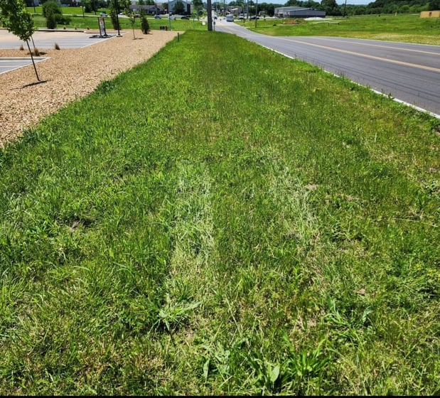 Images Cooks Lawn Care Service