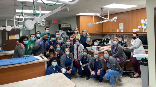 Images VCA Hollywood Animal Hospital
