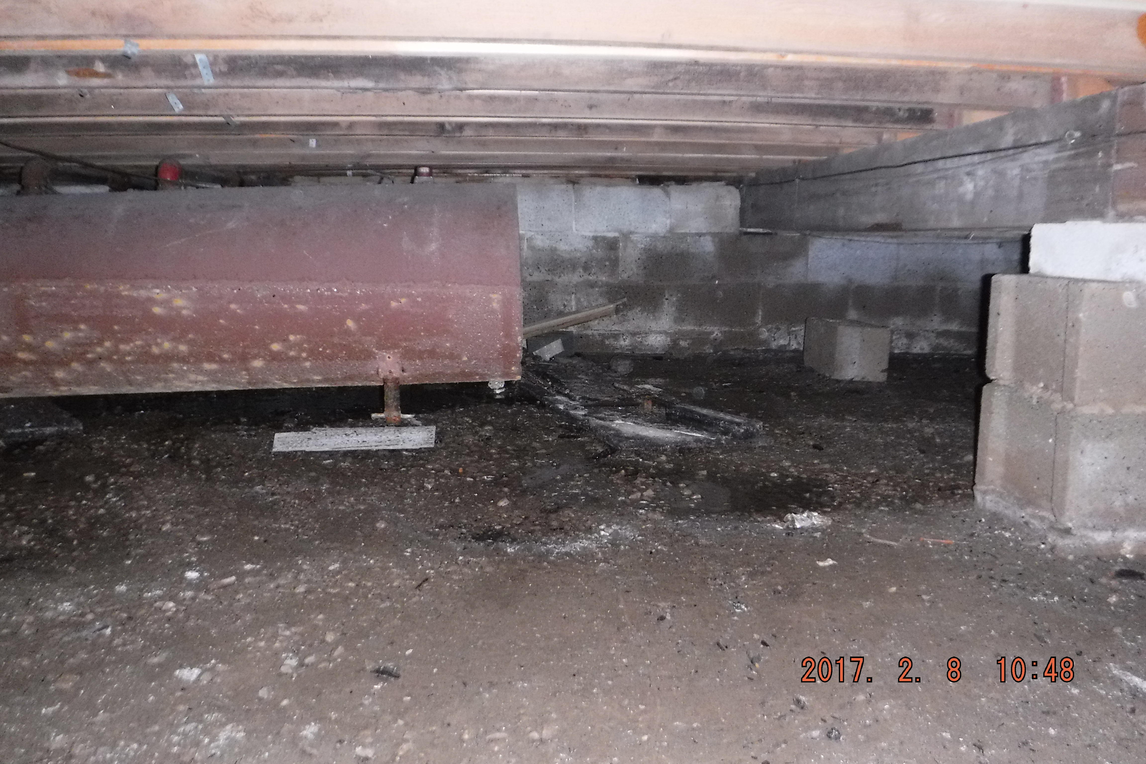 Working on mold remediation in a crawl space!