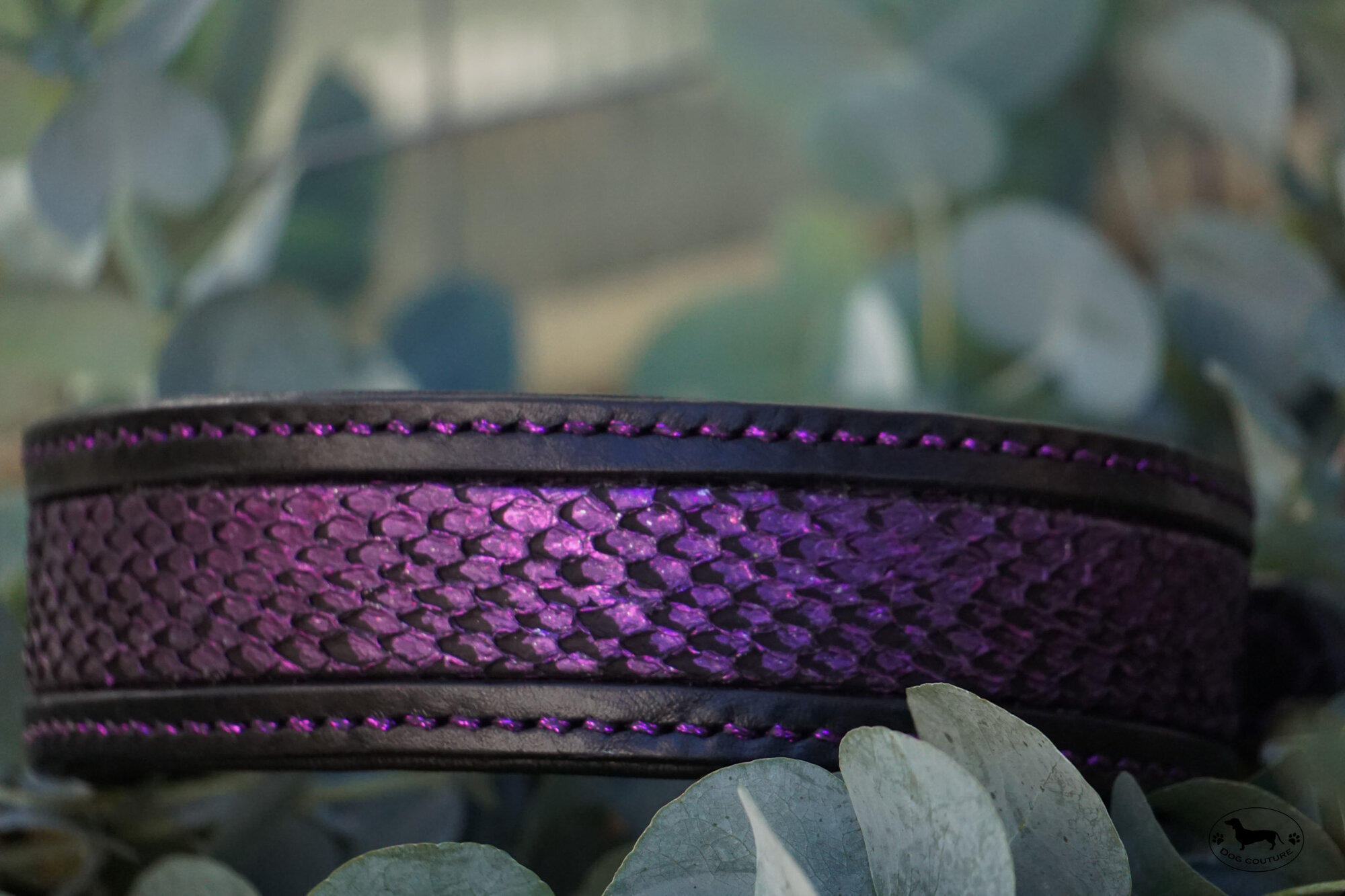 Dog Couture by Lisa in Eppstein