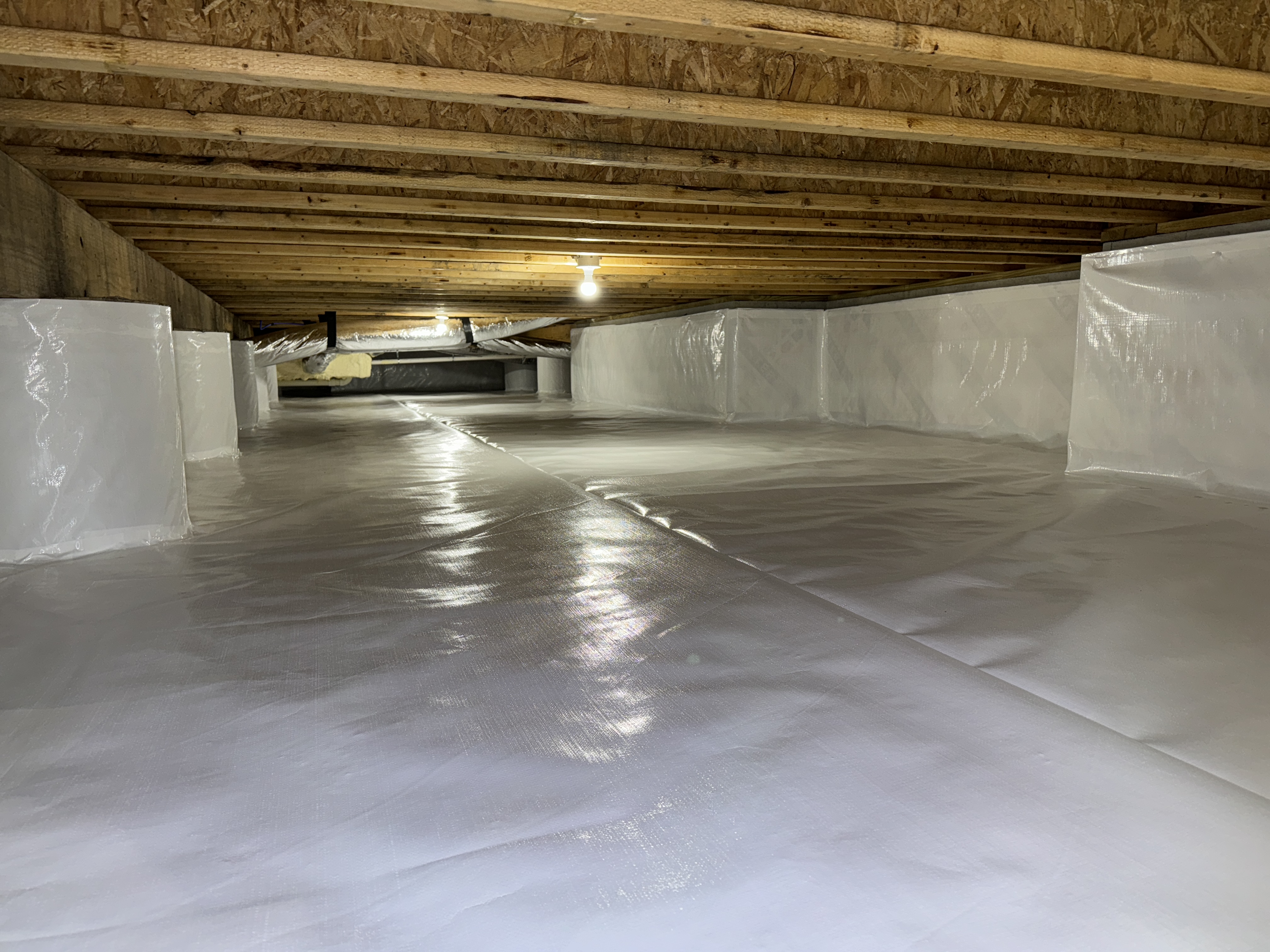 Re-Nu Crawlspace and Basements