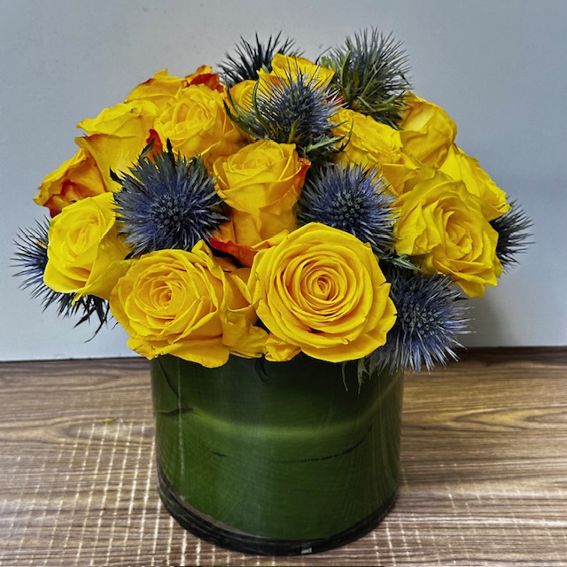 Images Jane's Roses & Flowers