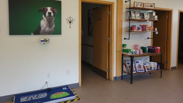 Images VCA Lantern Road Animal Hospital