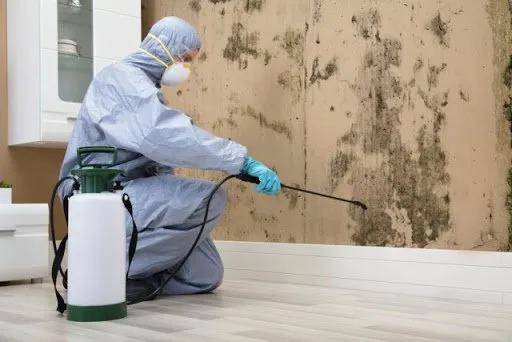 Mold Remediation