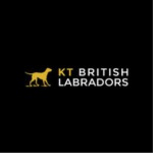 KT British Labs Logo