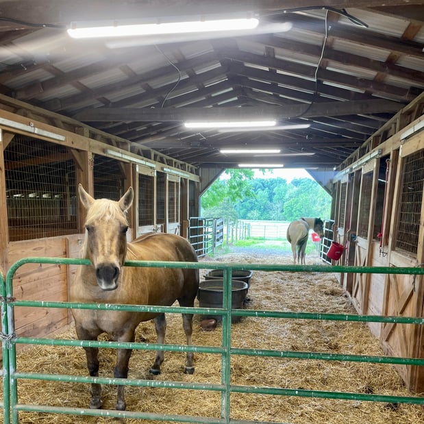 Images Phoenix Electrical