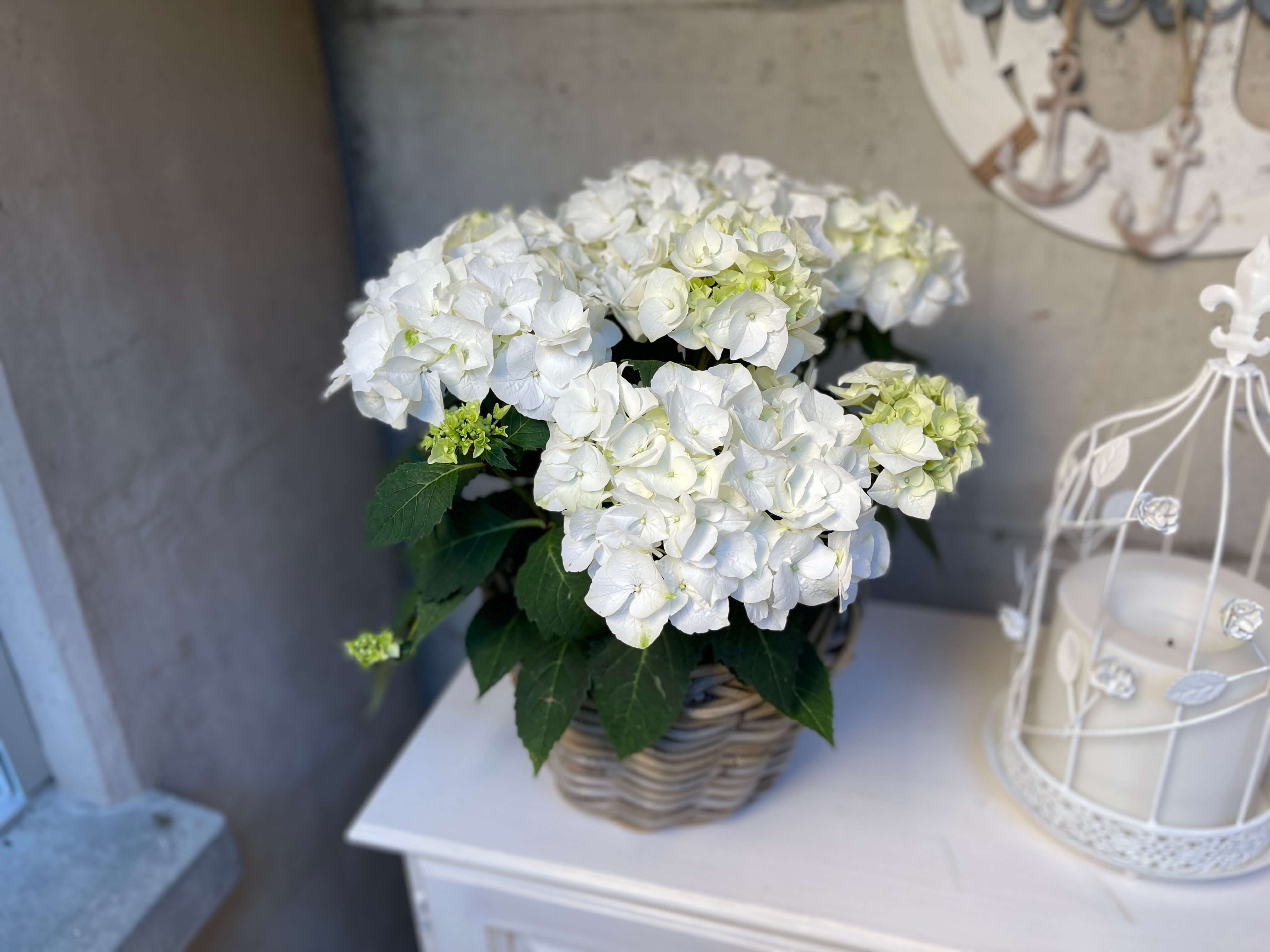 Hair&Nails Patrizia Karner, Kirchweg 31 in Ehrendingen