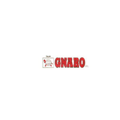 Gnaro Logo