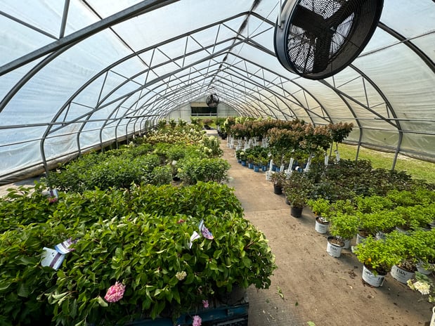 Images Ultimate Nursery Macomb