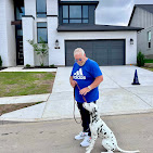 Images Dog Pawpa K9 Connection