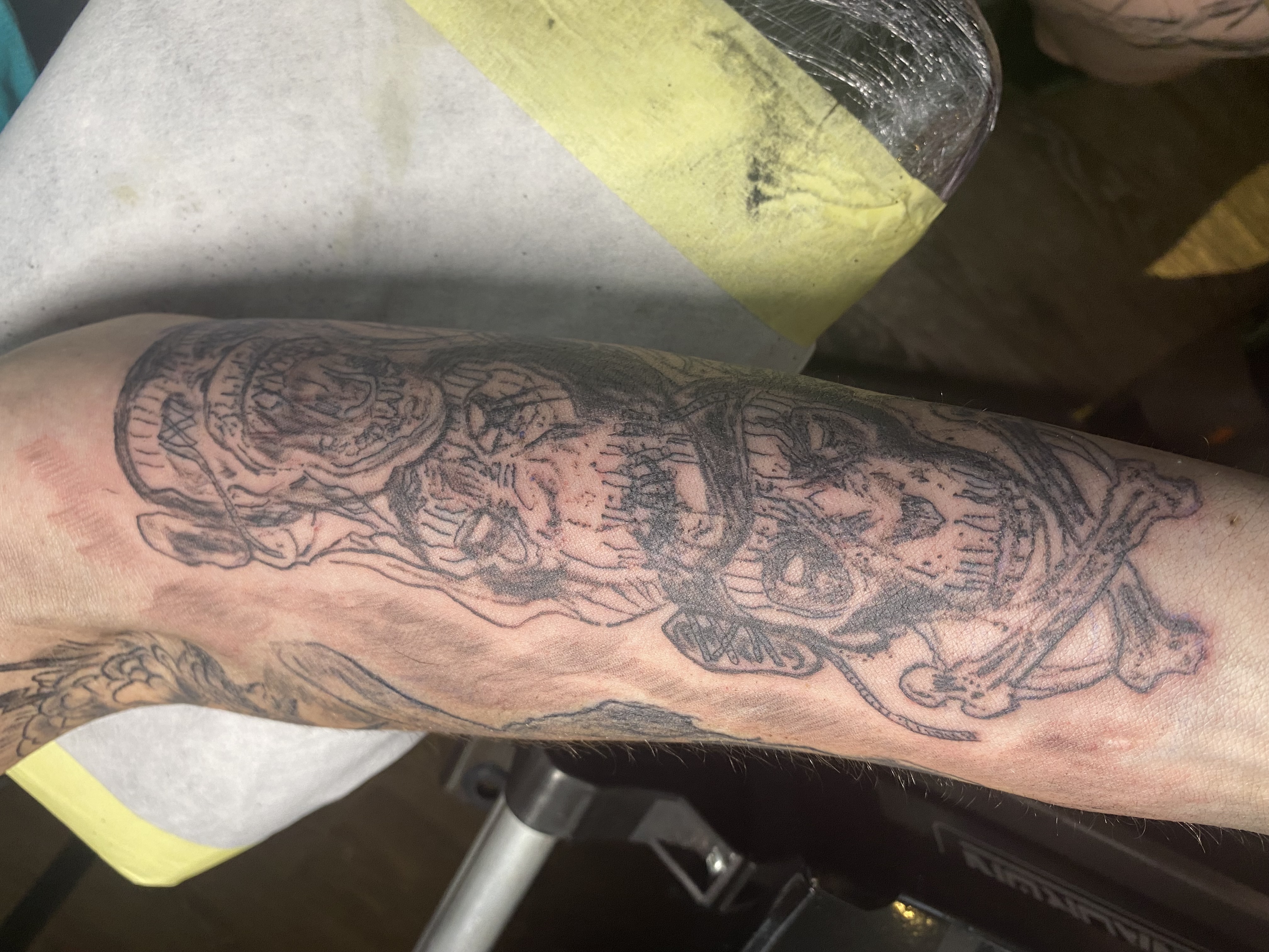 House of Pain - Tattoo & Piercing, Windmühlenstr. 22 in Gröditz