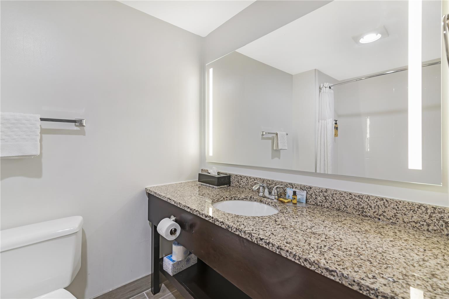 ADA Suite Single Queen Bathroom