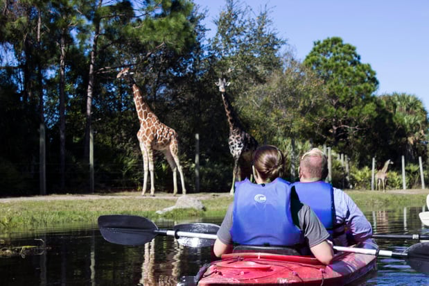 Images avid hotel Melbourne - Viera by IHG