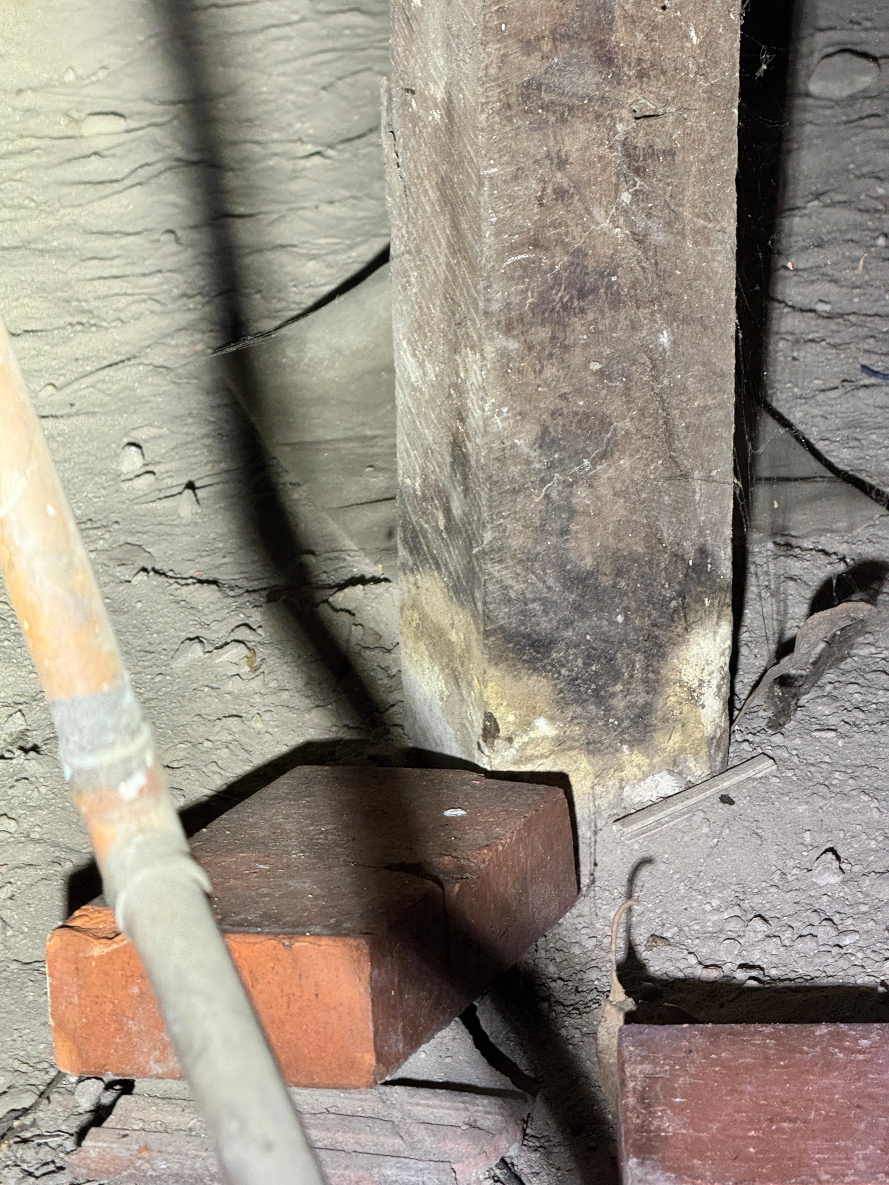 Images ACE Building and Pest Inspection
