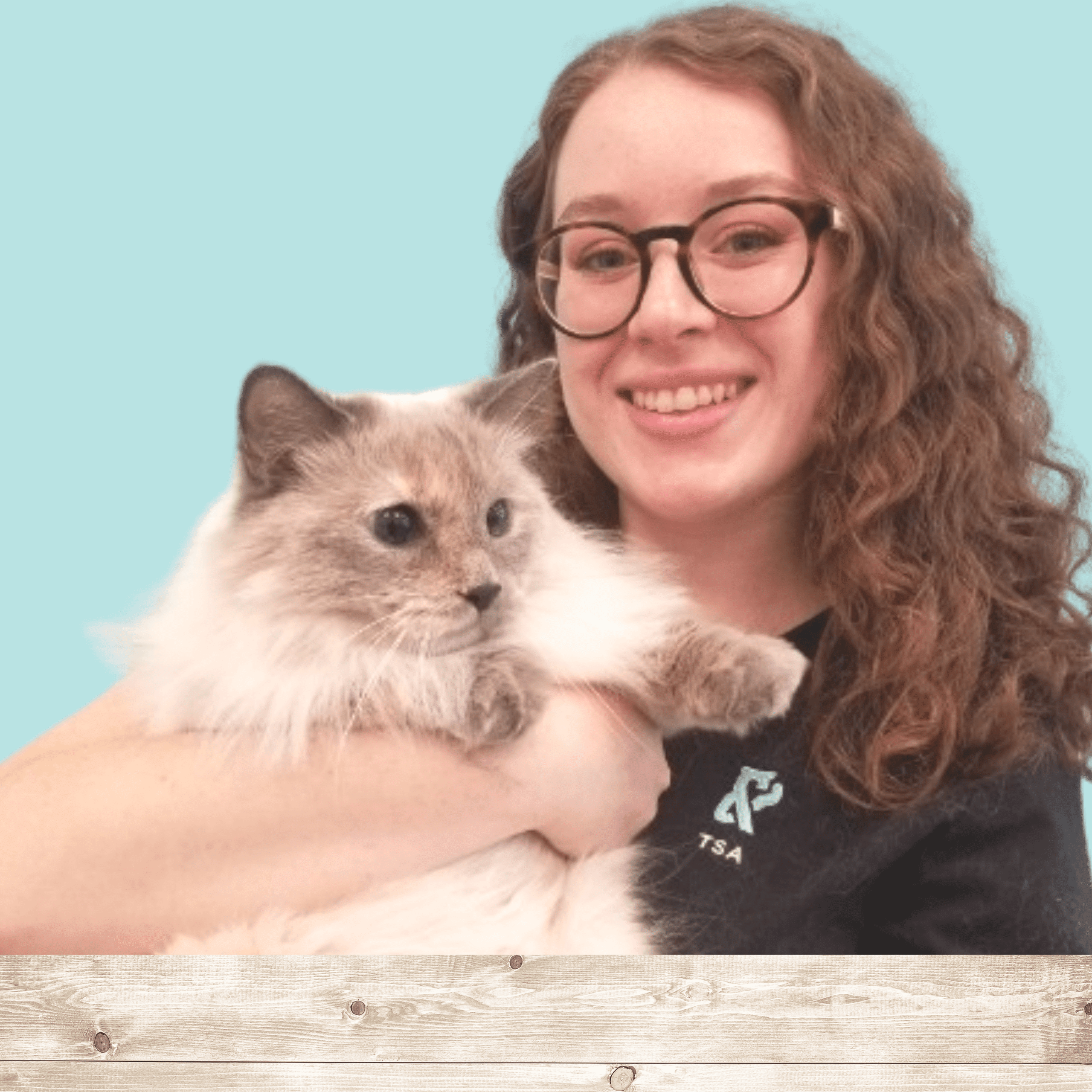 Images Vet & Cie Brossard | Vétérinaire indépendant & québécois, Toilettage, Parc canin, Urgences chiens et chats | Montérégie