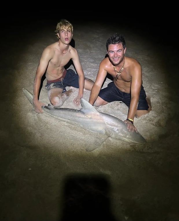 Images NSB Shark Hunters