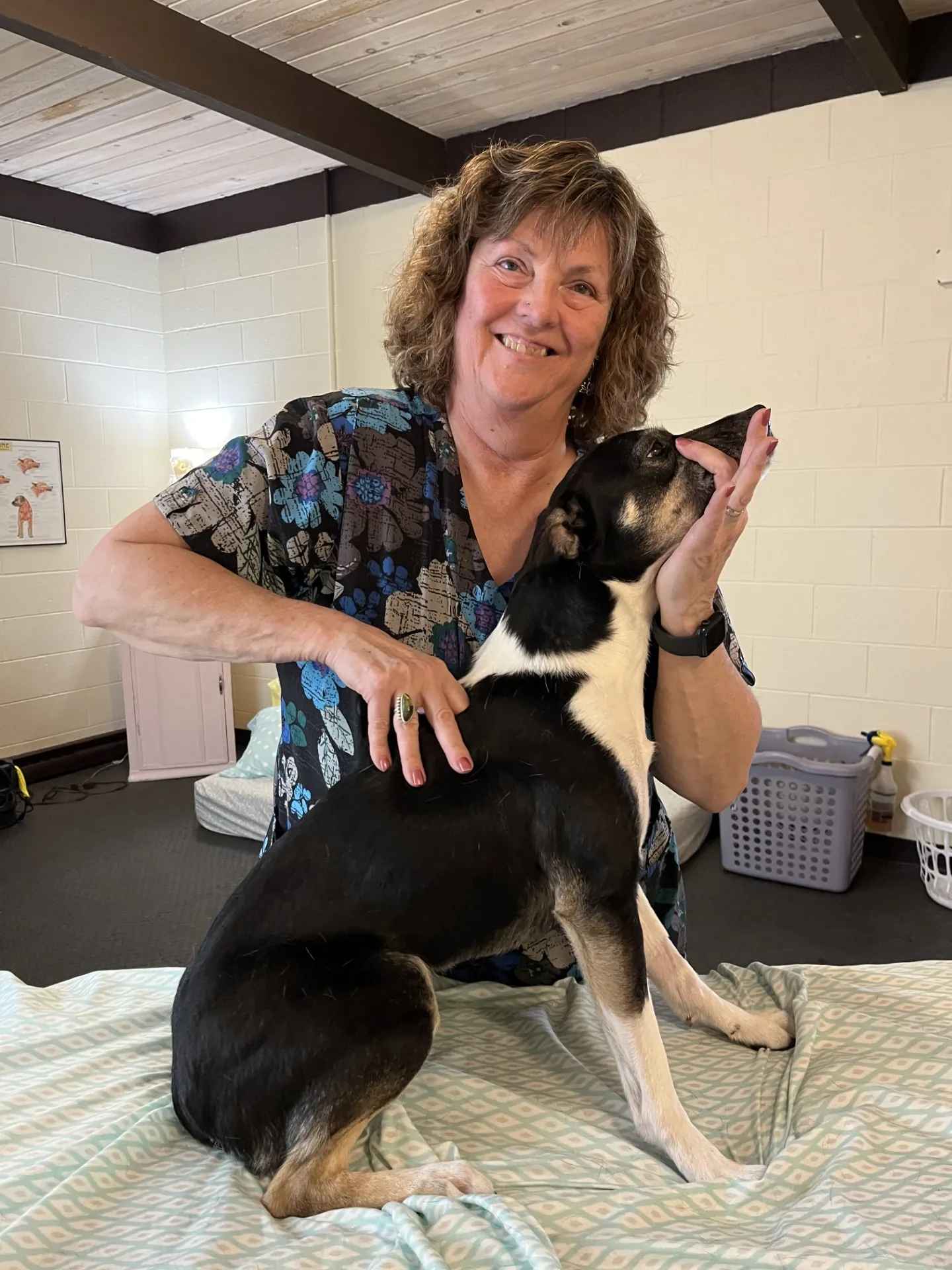 Image of Local Pet Event Fall Animal Chiropractic Clinic Nearby