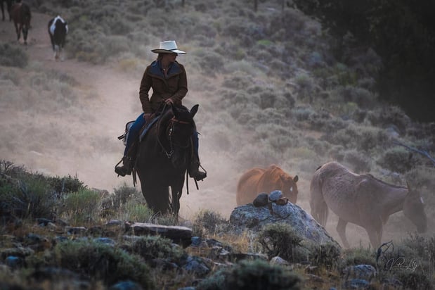 Images CM Ranch