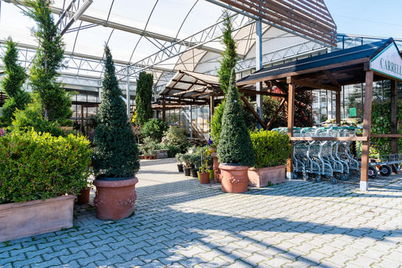 Images Azienda Agricola Florovivaista Toscogarden
