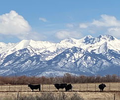 Mogote Meadow Cabins & RV Park Image