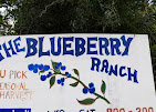 Images The Blueberry Ranch