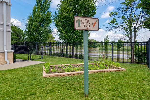 Images Primrose School at WestClay
