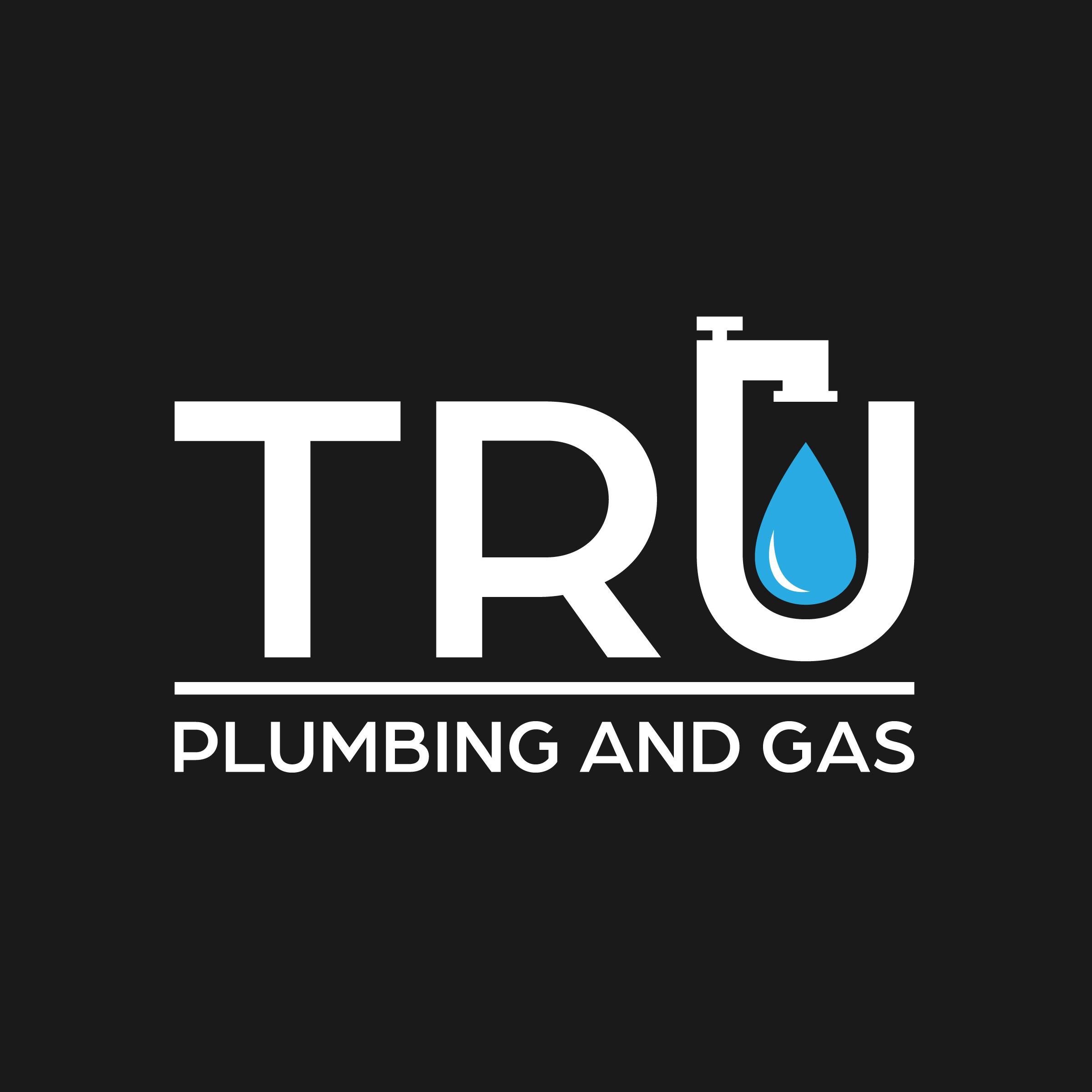 Tru Plumbing and Gas - Niceville, FL 32578 - (850)533-1252 | ShowMeLocal.com