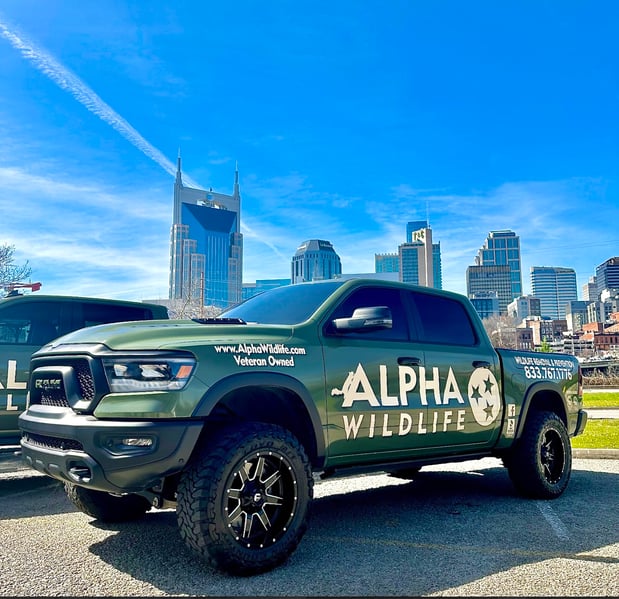 Images Alpha Wildlife Nashville
