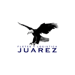 Fletes Económicos Juárez Monterrey