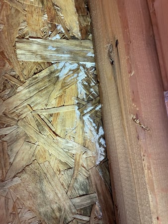 Images Pure Air Mold Removal Macomb