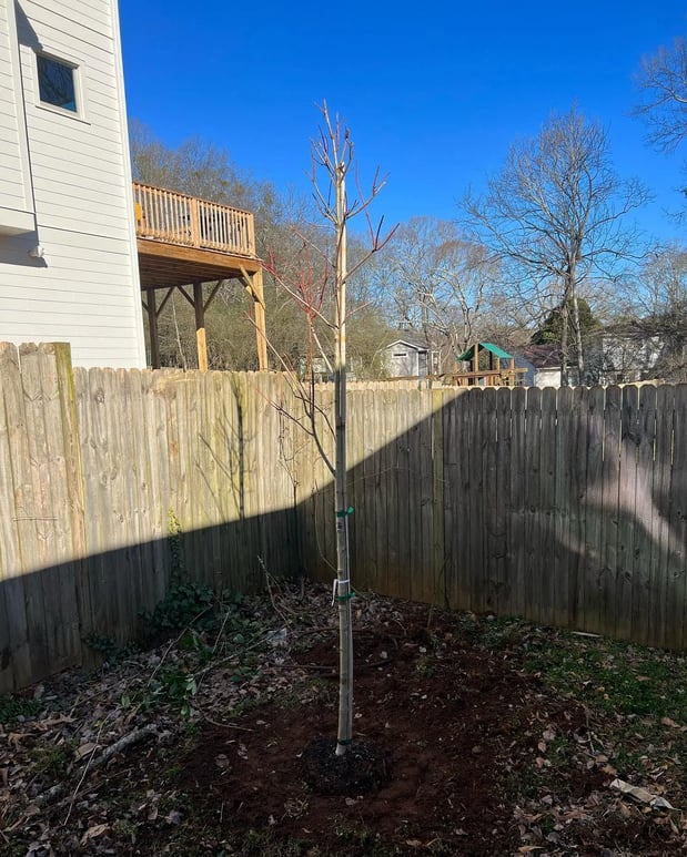 Images Saddletree LLC