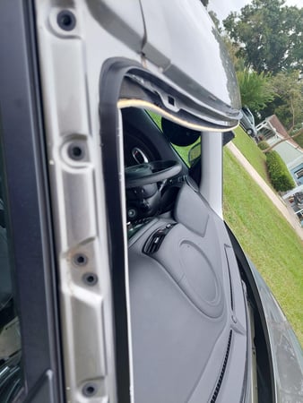 Images Sasquatch Autoglass