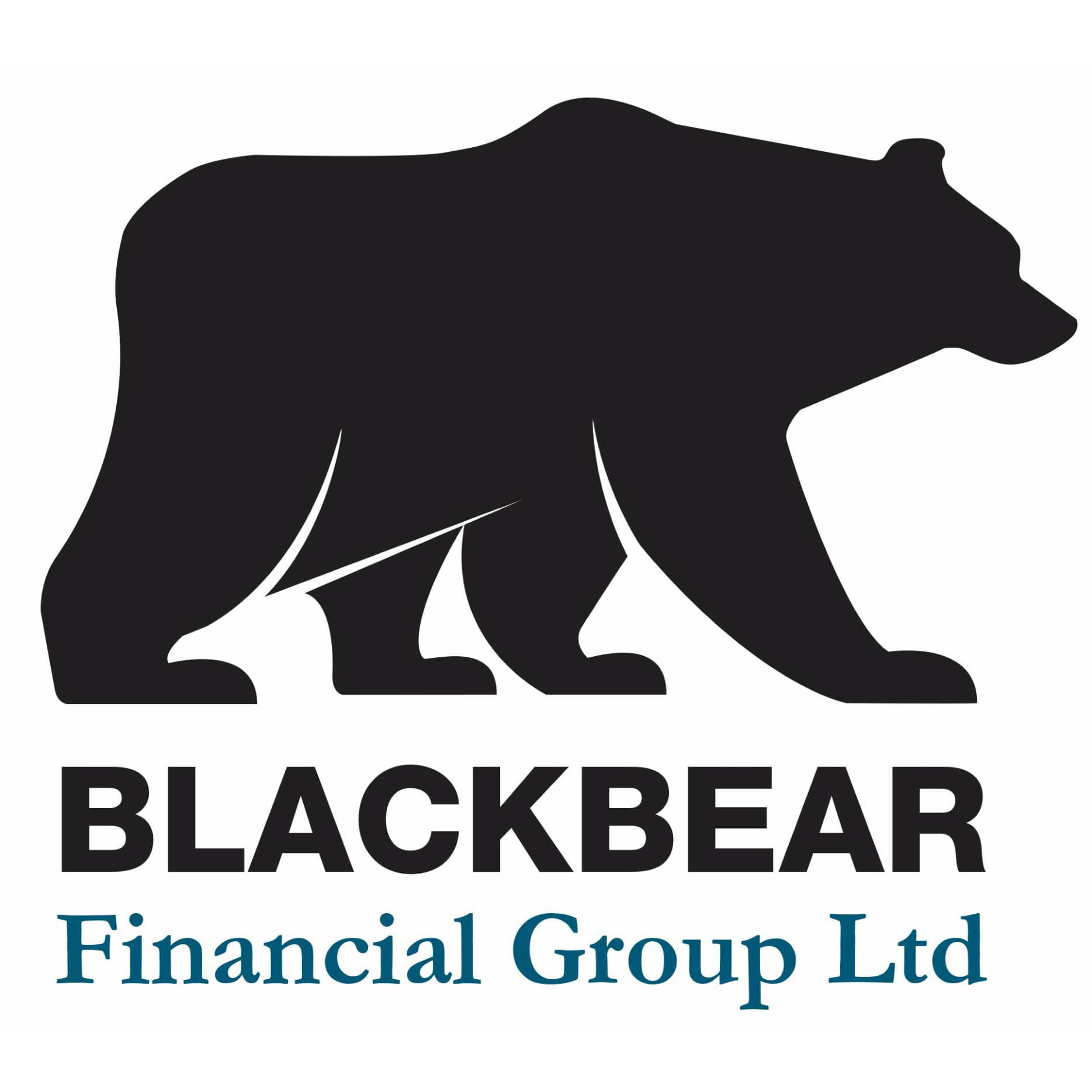 BlackBear Financial Group Ltd Logo