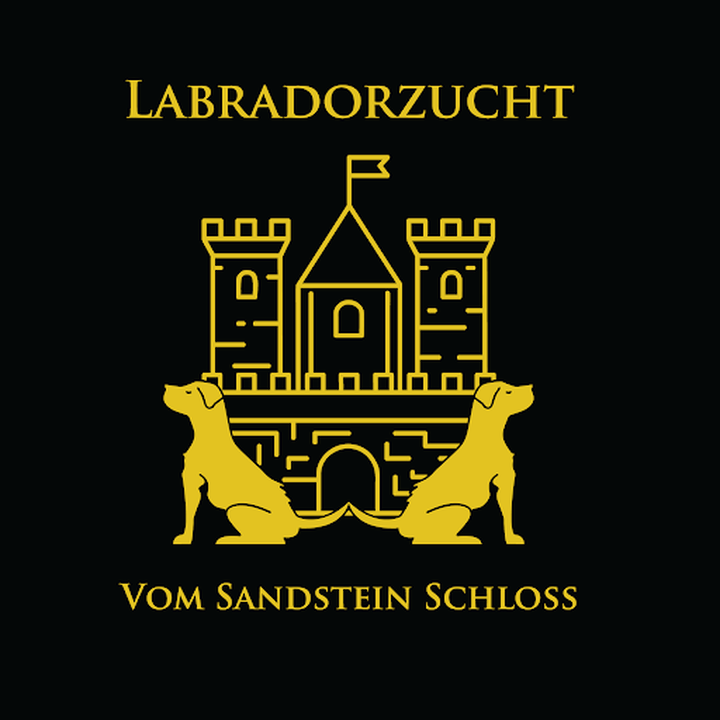 Labradorzucht vom Sandstein Schloss, Pfarrer-Baumann-Straße 45 in Oberaurach