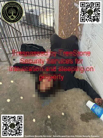 Images TreeStone Security Services
