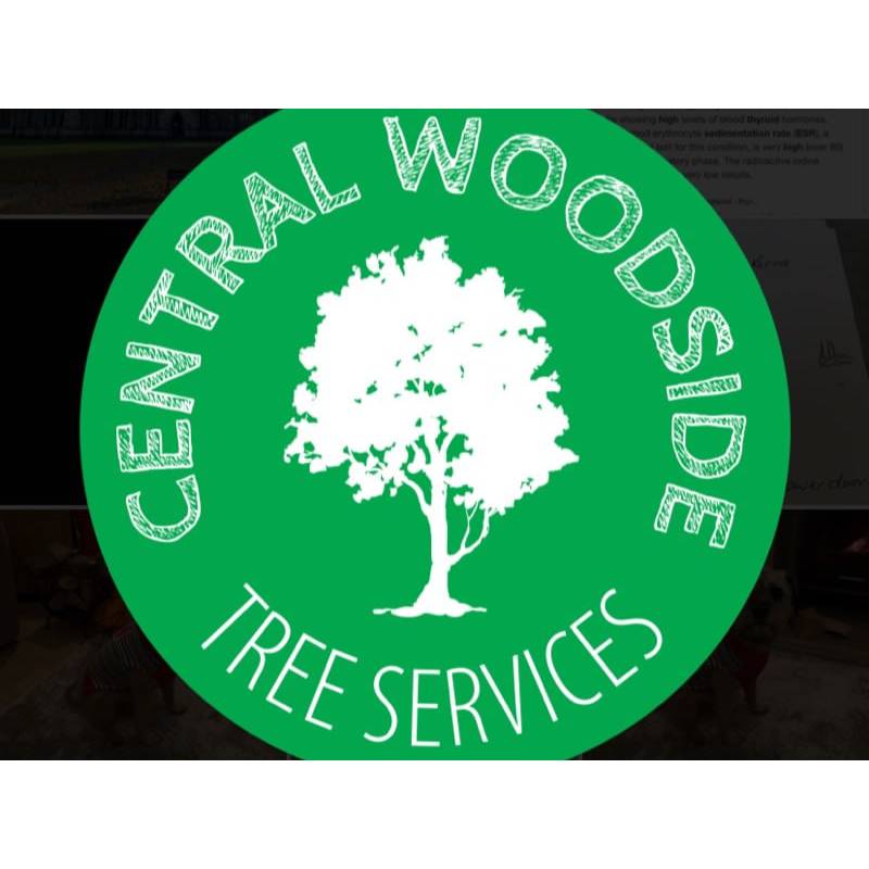 LOGO Central Woodside Tree Services Coventry 02476 692597