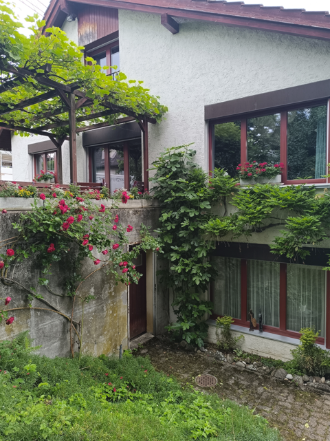 Bilder Morskoi Energie