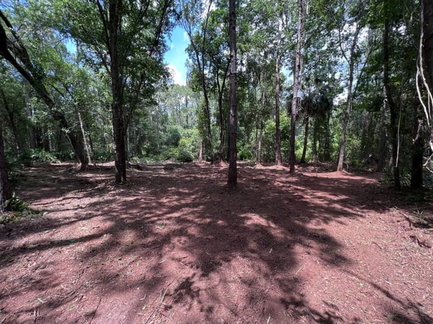 Images Stealth Mulching - Forestry Mulching & Land Development