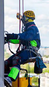 Images C. e C. Multiservice