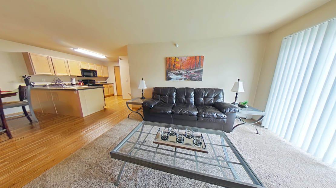 Living Room and Kitchen Space