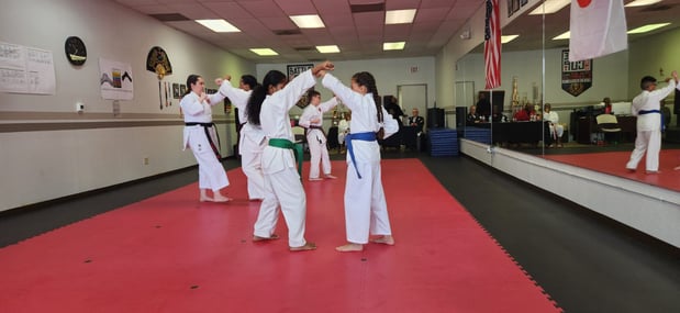 Images Jaguar Dojo