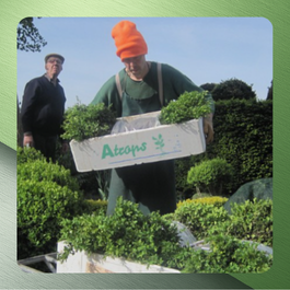 Bilder Volker und Brigitte Atrops Anzuchtbaumschule