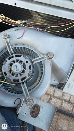 Images Frozen Refrigeration LLC