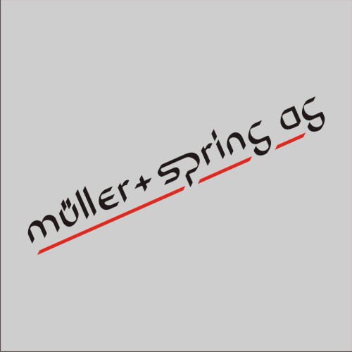 Müller + Spring AG Logo