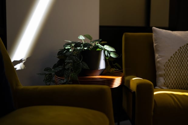 Images Sky Digital Media