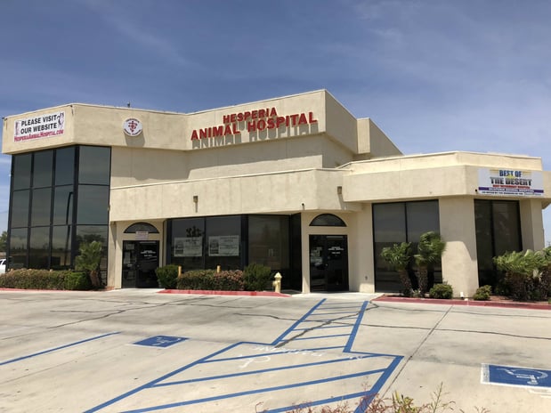 Images Hesperia Animal Hospital