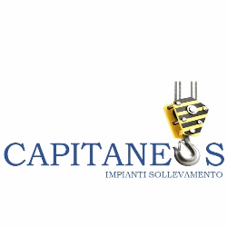 Capitaneo Service Logo