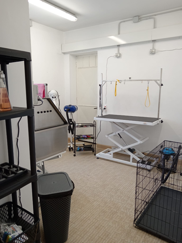 Images Le Allegre Crocchette