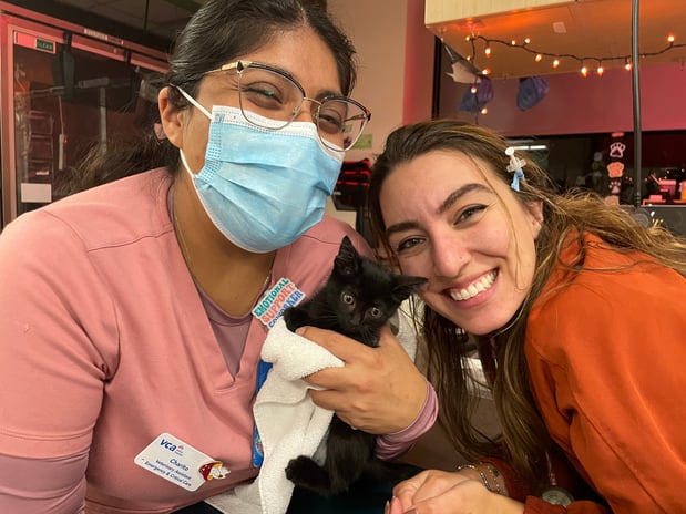 Images VCA West Los Angeles Animal Hospital